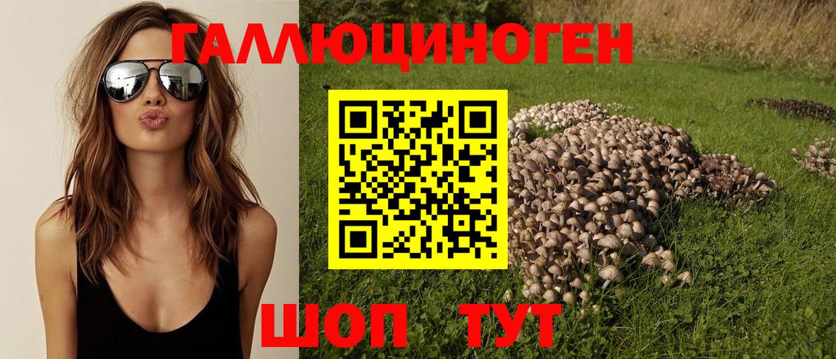 Галлюциногенные грибы мухоморы Арсеньев