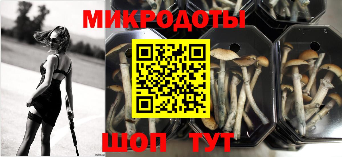 Арсеньев  Галлюциногенные грибы мухоморы  Вход с VPN 